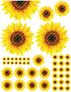 Various Size Sunflowers Digital File PNG