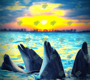 Dolphin Sunset Tumbler Sublimation Transfer