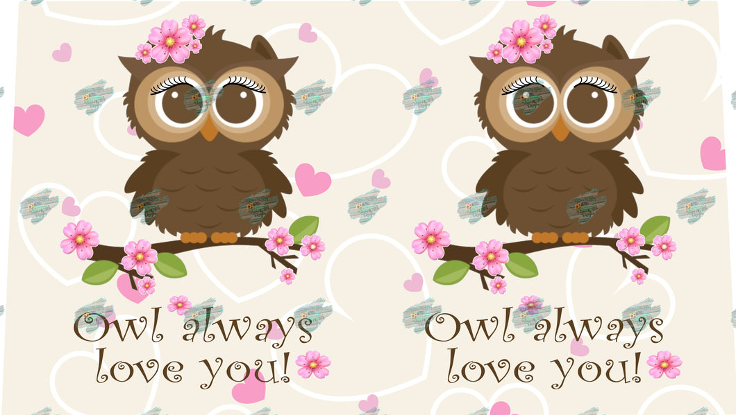 Owl Always Love You Tumbler Sublimation Transfer