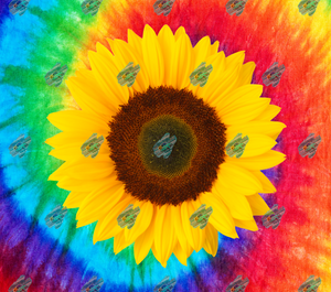 Tie Dye Sunflower Tumbler Sublimation Transfer